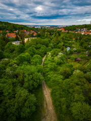 Fototapeta na wymiar photo from drone of the city with lots of trees