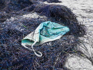 a medical mask on the beach amid seaweed © Christiane