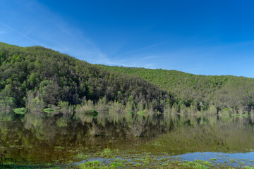 Fototapeta na wymiar Reflection of the forest trees in the lake. Riaño. León. spain