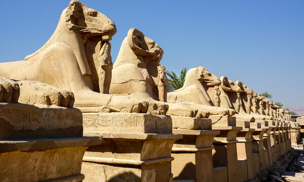 Egypt Statues In Luxor