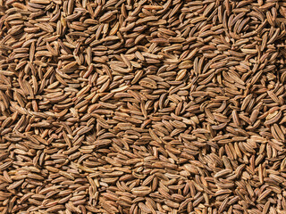 Background Texture of Dried Cumin Seeds. Surface covered with cumin seeds as a backdrop. Food flavoring. Cumin spice texture. Top view, Flat lay. Organic food, healthy lifestyle