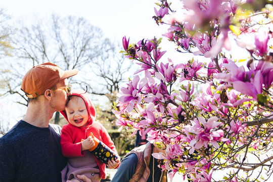A father kisses his smiling daughter next to a magnolia tree outside in the spring time