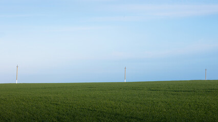 Fototapeta na wymiar Pillars in a green field