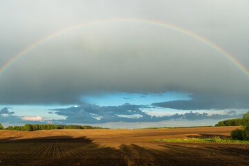A multicolored rainbow over a plowed agricultural field during the rain. Beautiful spring natural landscape. Beautiful nature of Belarus.