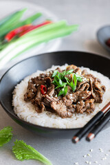 bulgogi with rice, traditional korean beef dish, asian food, selective focus