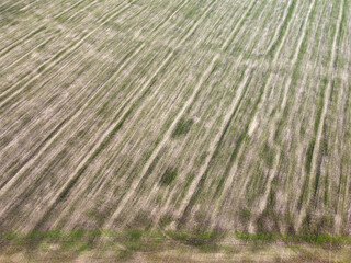 Panoramic view from a drone, aerial photography of the landscape with abstract agricultural fields of crops and soul, village infrastructure, Geometric shapes on farm fields