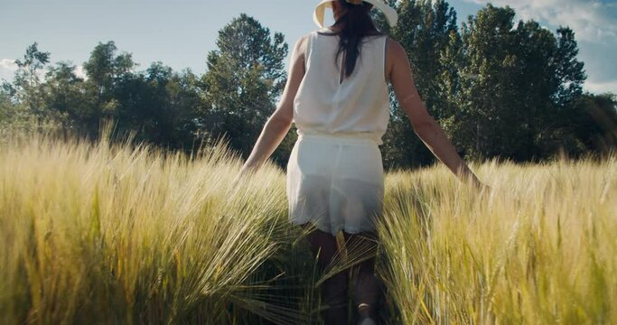 Attractive young woman walk through wheat meadow. Inspired female traveler touch harvest on agricultural field at summer vacation journey. Travel lifestyle and adventure wanderlust