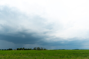 A beautiful thundercloud with rain hovered over a field of wheat. A terrible black cloud on the eve of a tornado and a natural disaster. A hurricane in the countryside.