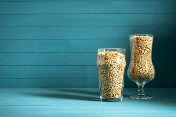 beer glasses with barley malt  on black background. Craft beer brewing from grain barley pale malt. Homemade ale or lager from pilsner malt. - obrazy, fototapety, plakaty