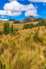 Rucu Peak of Pichincha Volcano at an altitude of 4,781 meters