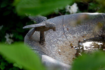 Bird fountain
