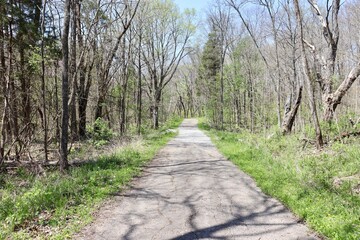 The long pathway in the countryside on a sunny day.