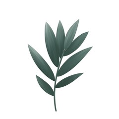 branch with green peony leaves isolated on white background