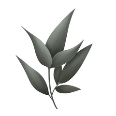 branch with green peony leaves isolated on white background