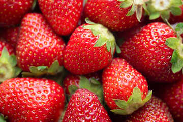 Strawberry background. Freshly picked ripe strawberries. Fruit background, Fresh organic berries