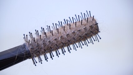 Fallen hair on a comb on a white background.