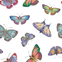 Set of bright butterflies collected in a seamless pattern isolated on a white background.