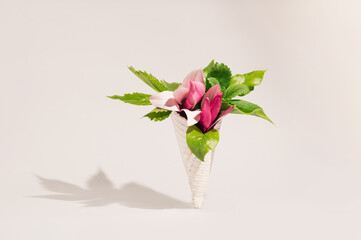 Magnolia flowers in waffle cone on white background. Minimal creative spring concept. Flat lay. Top view.