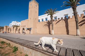 Essaouira, morocco, africa