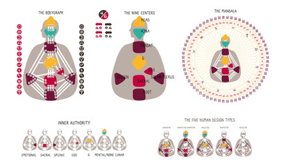 Human Design BodyGraph chart. Nine colored energy centers planets, variables. Inner authority. Five types generator, manifestor, manifesting generator, projector, reflector. Mandala. Vector graphic