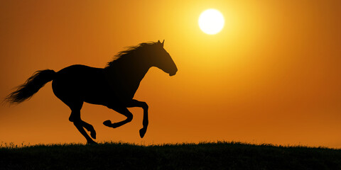 silhouette of the black horse under the hot summer sun © ginettigino