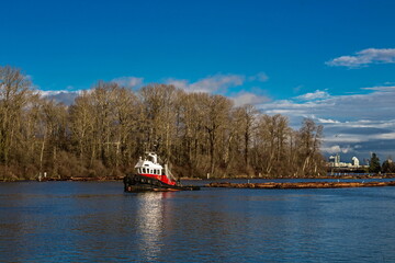 Fraser River, spring time, Tugboat Towing Rafts of Lumber Along the River with shores overgrown with deciduous forest, mountain range not on the horizon and blue  sky, British Columbia, Canada
