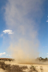 Fototapeta na wymiar Small, dusty whirlwind in the Kgalagadi, South Africa