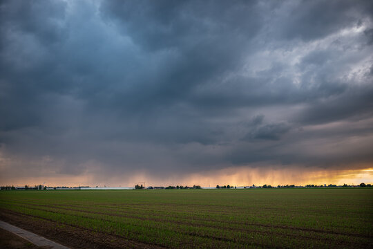 Rain is falling from a thundery shower over the Dutch landscape at sunset