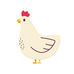 Hen illustration in white colors. Chicken flat icon. Hen vector on white background.