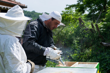 Beekeeper smoking bees with bee smoker in hive on a spring day in the apiary. The beekeeper wears a protective suit and gloves. Beekeeping concept
