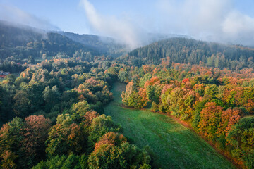 Foggy morning at the forest and green mountains. Beautiful autumn colors.