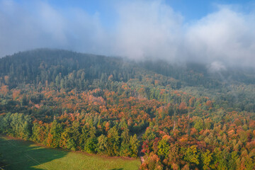 Foggy morning at the forest and green mountains. Beautiful autumn colors.