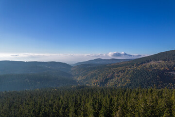 Coniferous forest and green mountains in a sunny day, blue sky and white clouds.