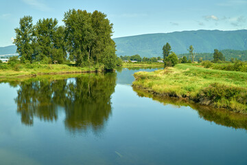 Alouette River Dyke Trail. Tranquil reflections along the Alouette River dyke trail in Pitt Meadows. 

