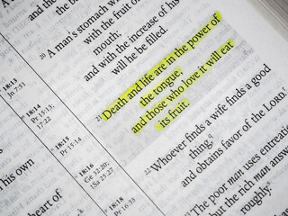 Proverbs Chapter 18 verse 21