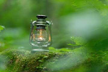 森林とオイルランタン