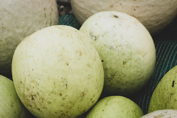Fresh green vegetarian farm colorful green ball