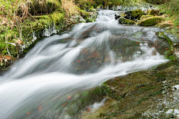 waterfall in the forest