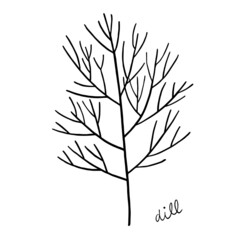 Dill outline sketch in black isolated 