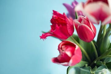 Closeup photography of tulips bouquet.Copy space for text.