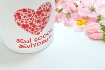 heart shaped flower, süsleme, süsleme çiçeği,ayva çiçekleri, ayva çiçeği, Pembe çiçekler, meyve çiçeği, bitki çiçekler,seni seviyorum ibaresi,