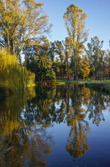 Idyllic landscape with a mirror of water, trees reflecting and green and warm colors. portrait format