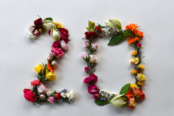 Number twenty made of natural flowers and leaves. Floral numerical concept. Creative idea for spring, summer, birthdays and anniversaries.
