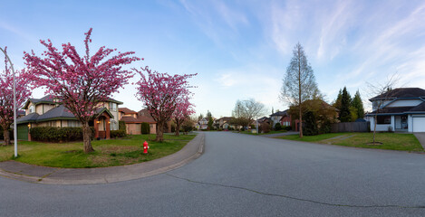 Residential neighborhood Street in Modern City Suburbs. Sunny Spring Morning Sunrise. Fraser Heights, Surrey, Greater Vancouver, British Columbia, Canada. Panorama