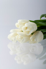 White tulips on white, reflection in glass, beautiful postcard