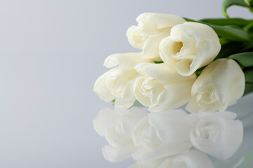 White tulips on white, reflection in glass, beautiful postcard