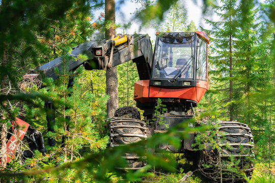 Close up photo of forest harvesting fully automatic machine stands between trees. Northern Sweden, fresh green pine tree forest, sunny day
