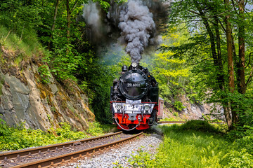 Selketalbahn Eisenbahnromantik im Selketal Harz