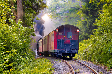 Selketalbahn Eisenbahnromantik im Selketal Harz