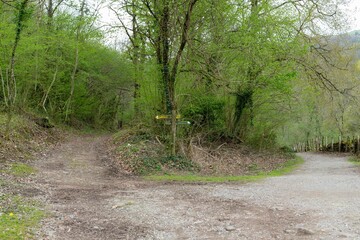 Bifurcación en dos caminos de paisaje natural
